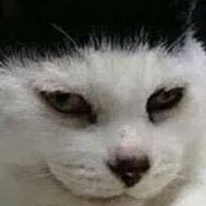 Meet your Posher, Alonso